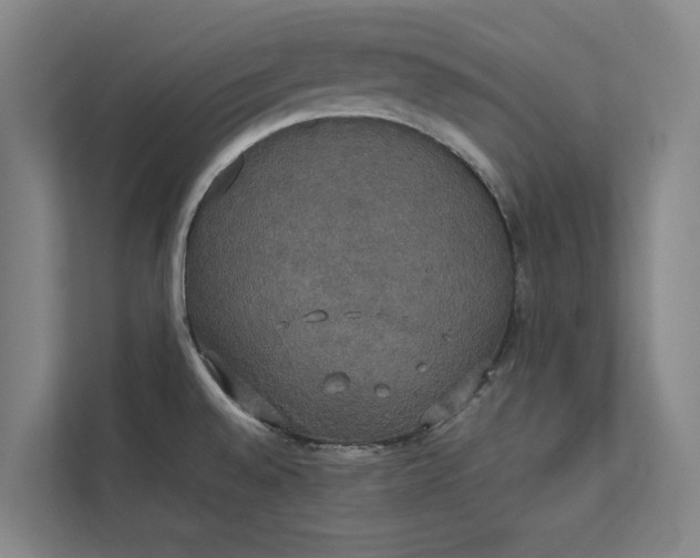 X0000112831528200909041452