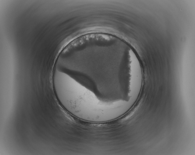 X0000112831529200909041452