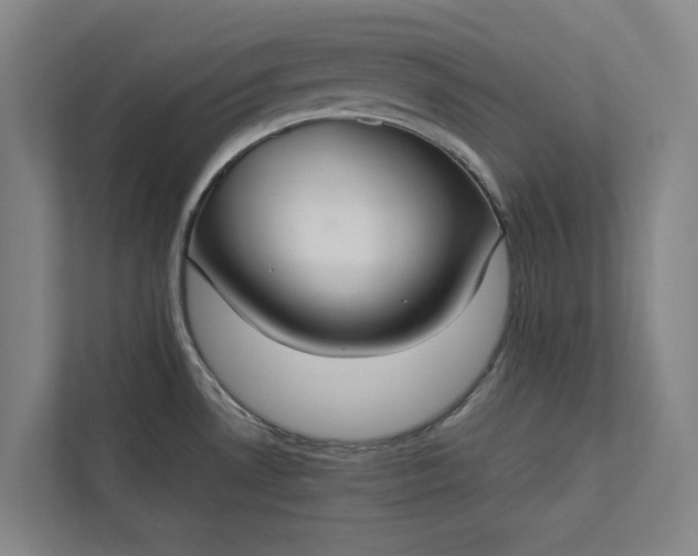 X0000112831530200909041452