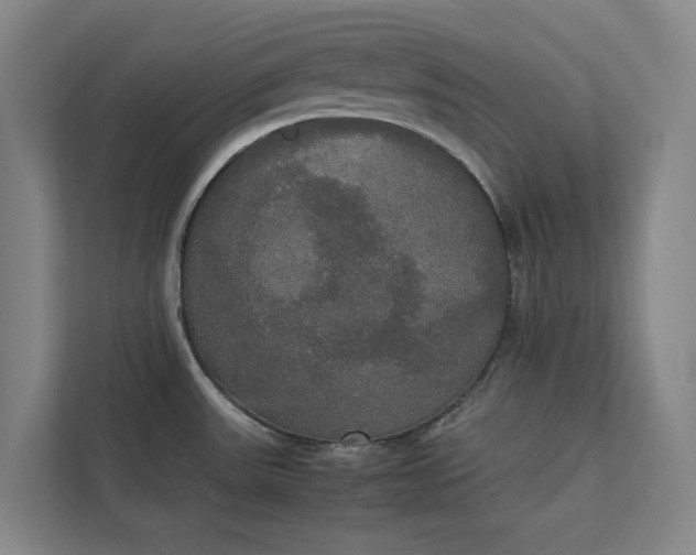 X0000112831531200909041452