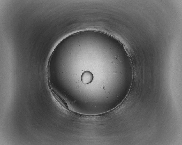 X0000112831532200909041452