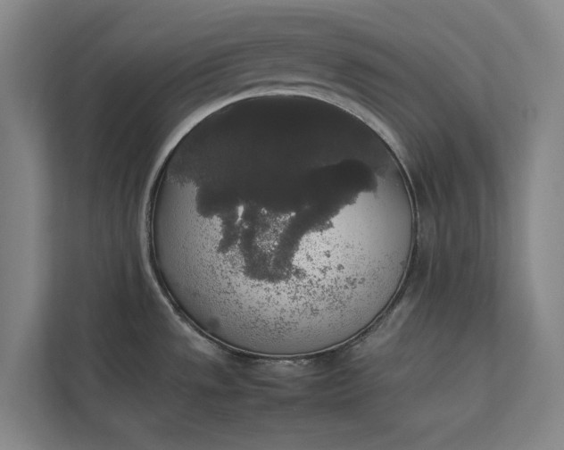 X0000112831533200909041452