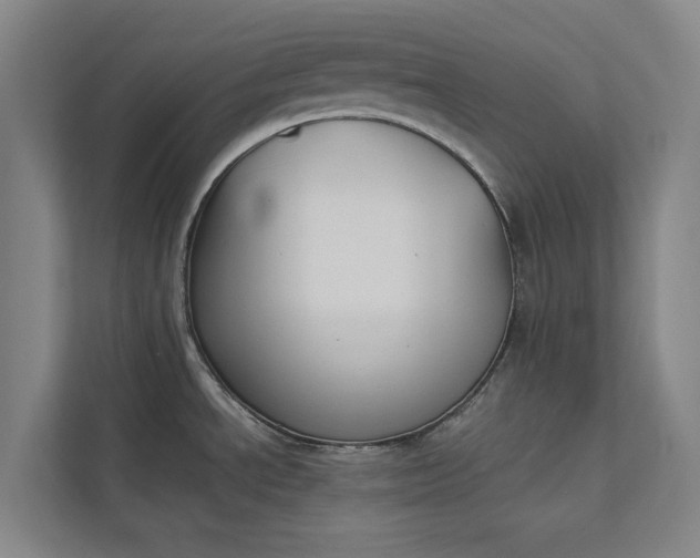 X0000112831534200909041452