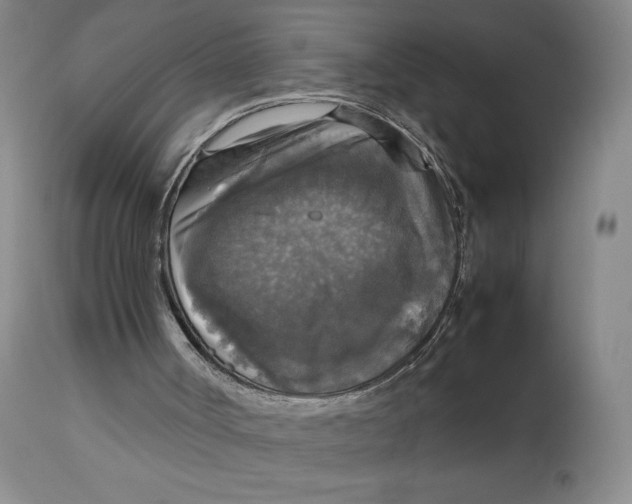 X0000112830002200909111410