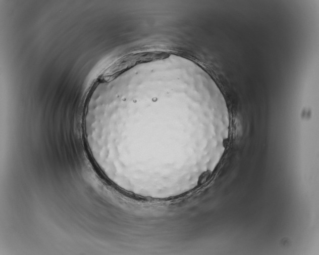 X0000112830004200909111410