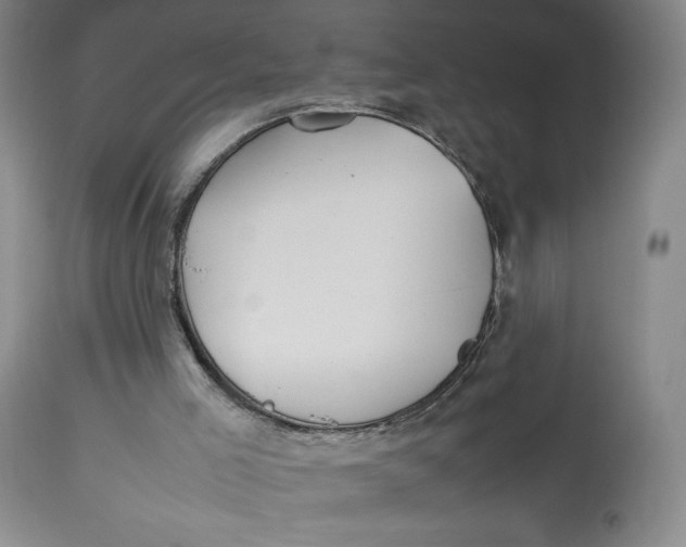 X0000112830005200909111410