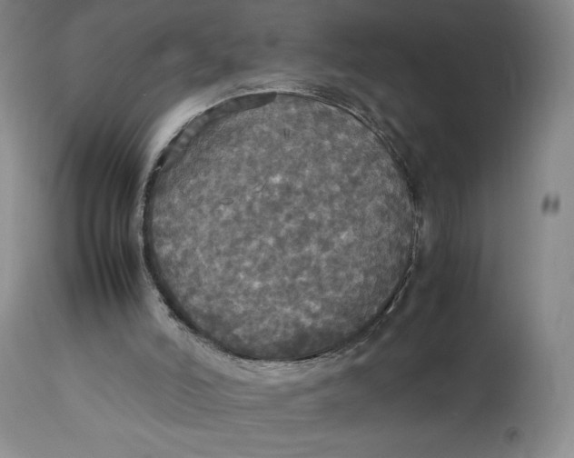 X0000112830006200909111410