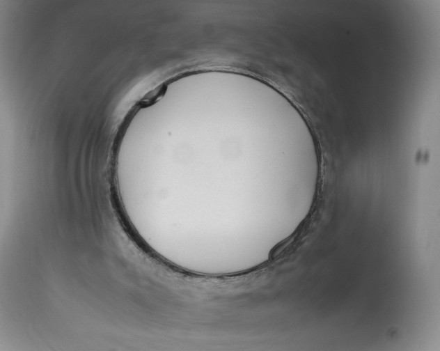 X0000112830007200909111410