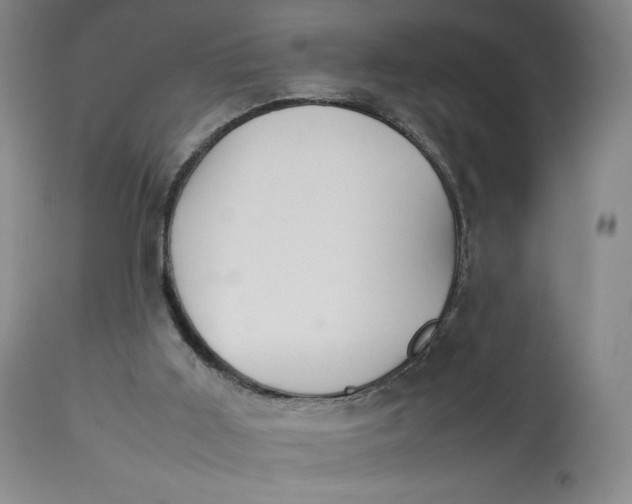 X0000112830011200909111410