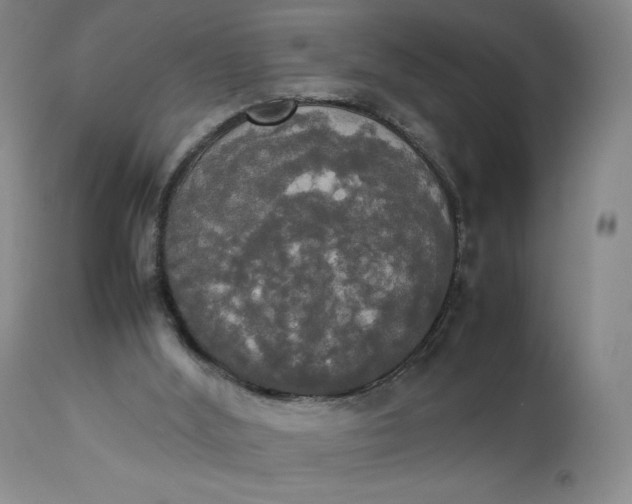 X0000112830012200909111410