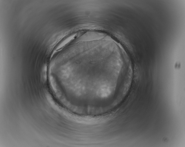 X0000112830014200909111410