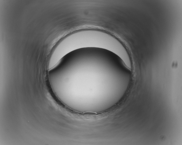 X0000112830015200909111409