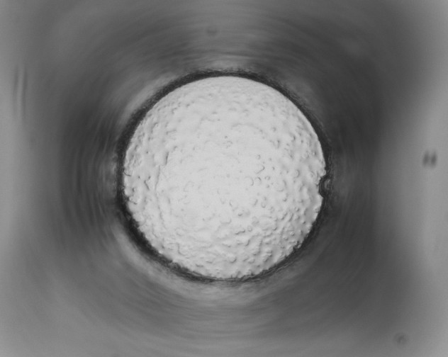 X0000112830016200909111409