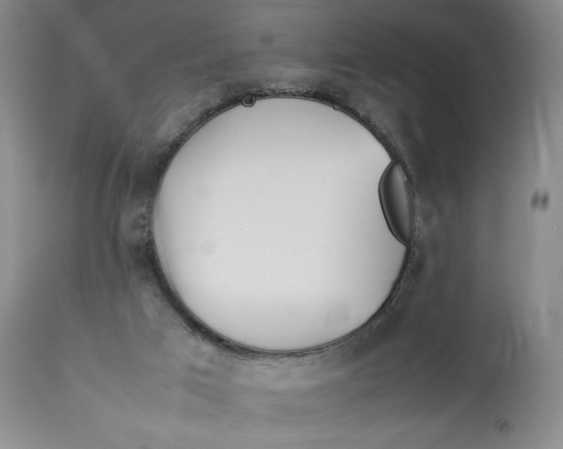 X0000112830017200909111409