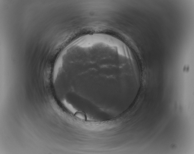 X0000112830018200909111409