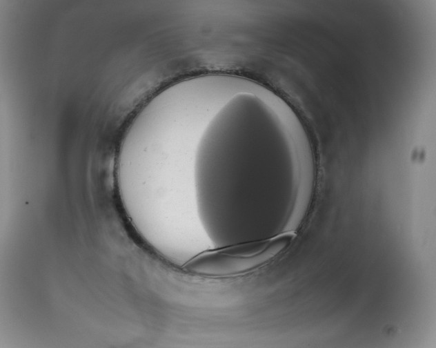 X0000112830019200909111409