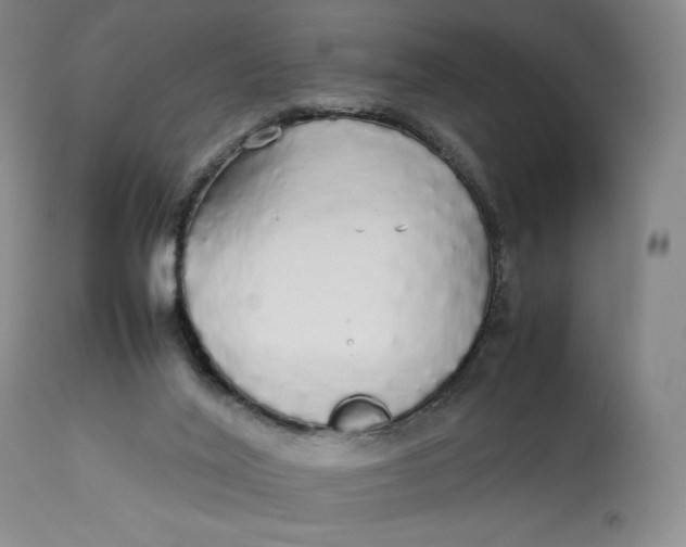 X0000112830020200909111409