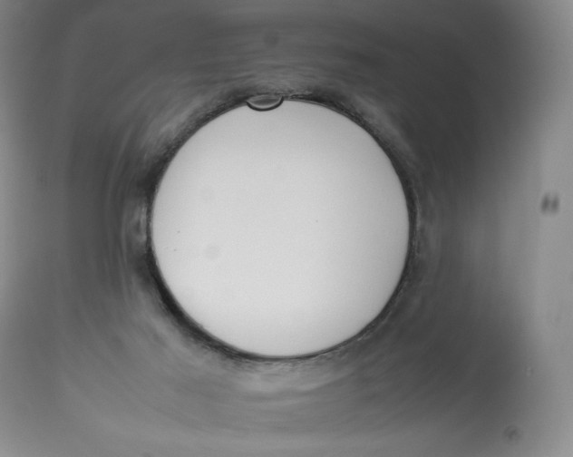 X0000112830021200909111409