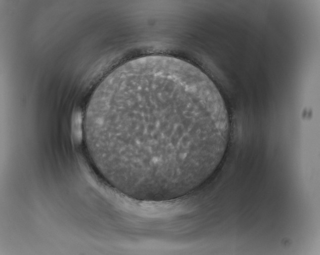 X0000112830022200909111409