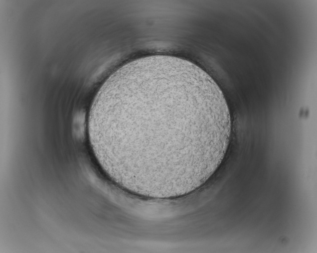 X0000112830024200909111409