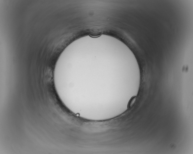 X0000112830025200909111409