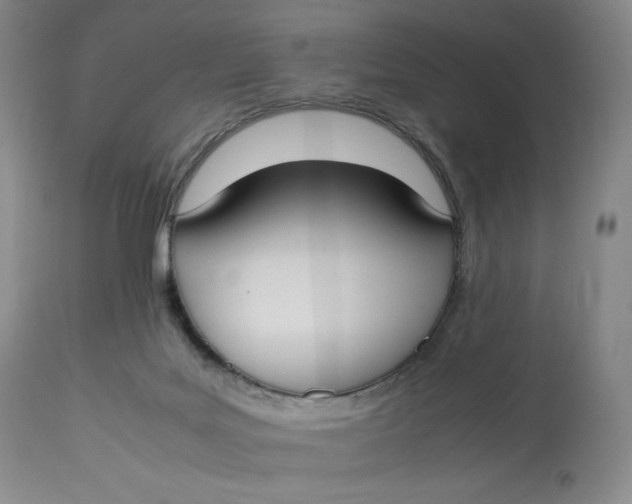 X0000112830027200909111409