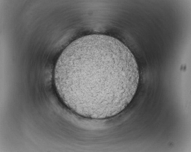 X0000112830032200909111409