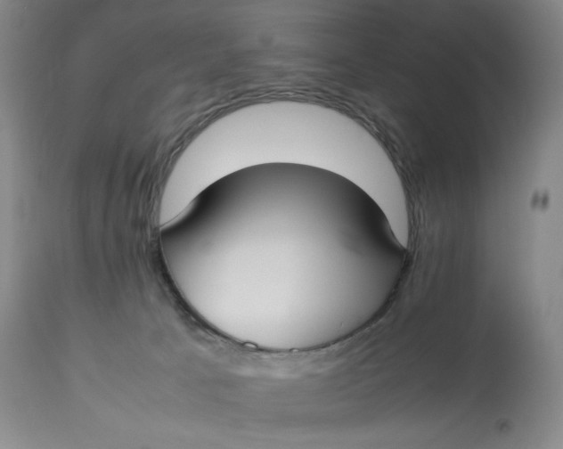 X0000112830033200909111409