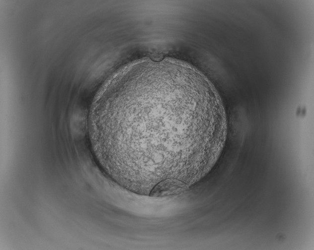 X0000112830034200909111409