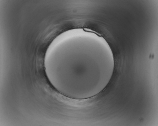 X0000112830035200909111409