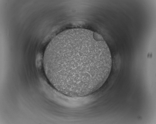 X0000112830038200909111409