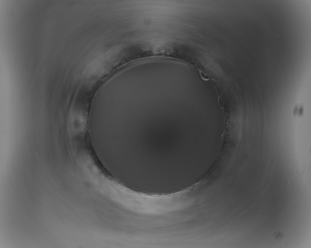 X0000112830039200909111409