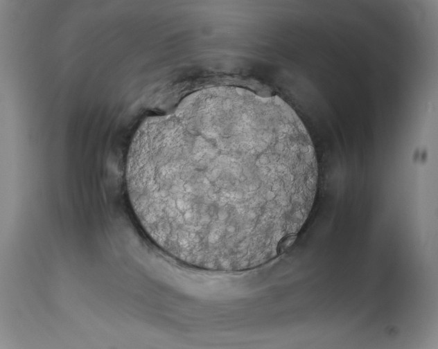 X0000112830040200909111409