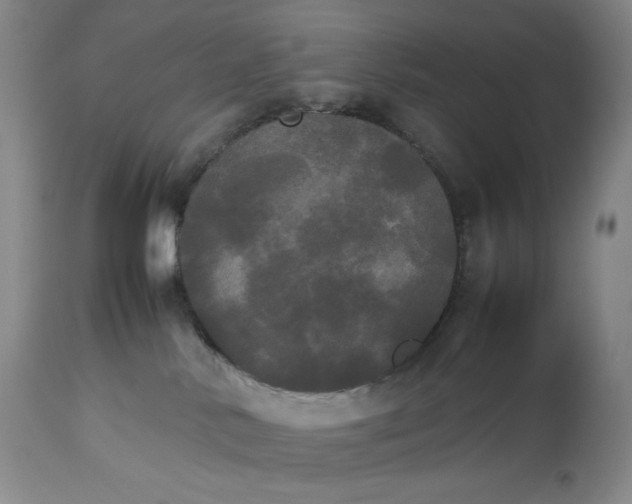 X0000112830042200909111409