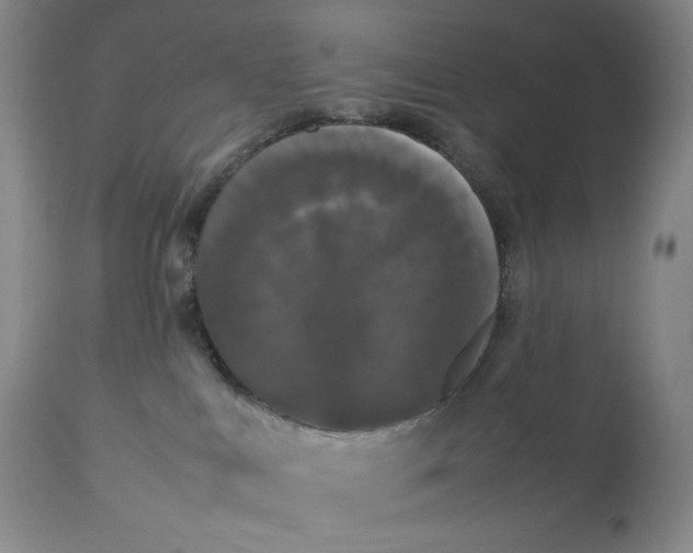 X0000112830043200909111409