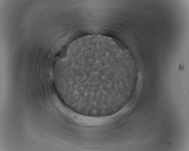 X0000112830048200909111409