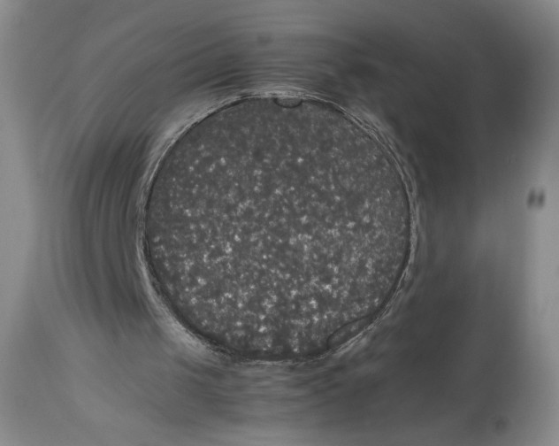 X0000112830049200909111408