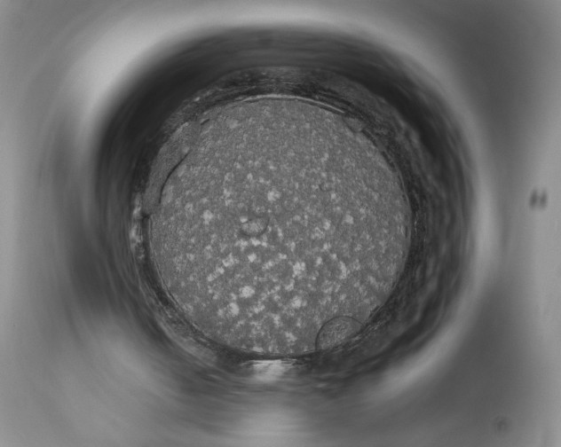 X0000112830050200909111408