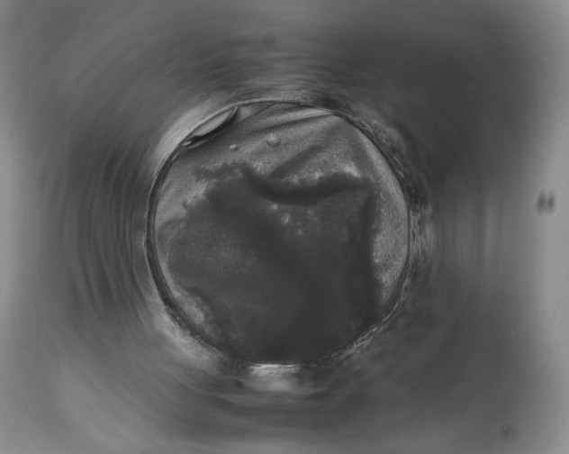 X0000112830051200909111408