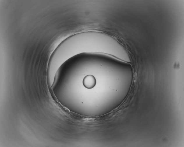 X0000112830052200909111408