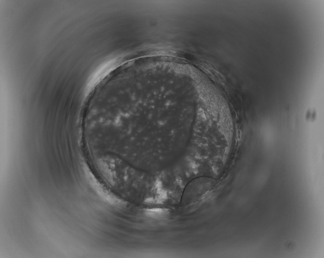 X0000112830053200909111408