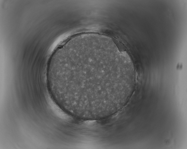 X0000112830054200909111408