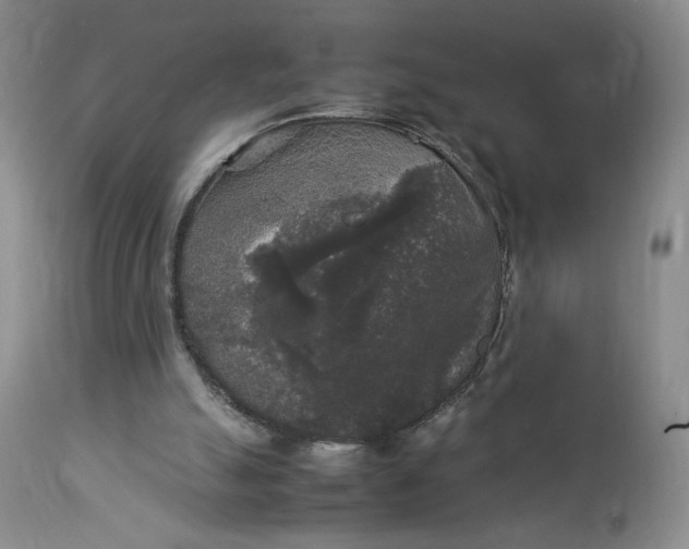 X0000112830055200909111408