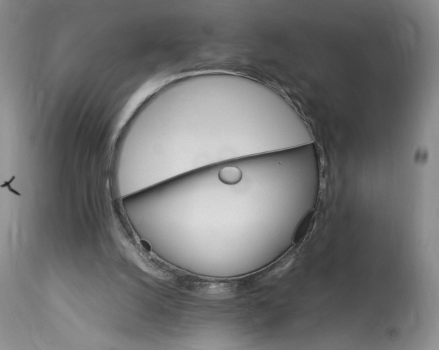 X0000112830056200909111408