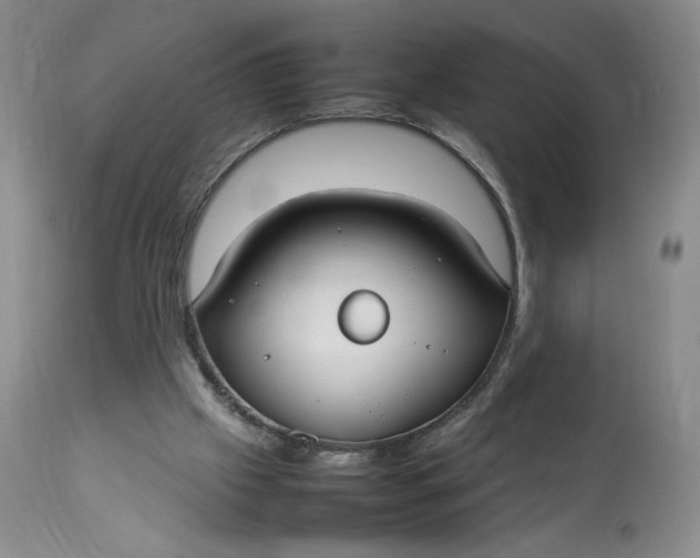 X0000112830057200909111408