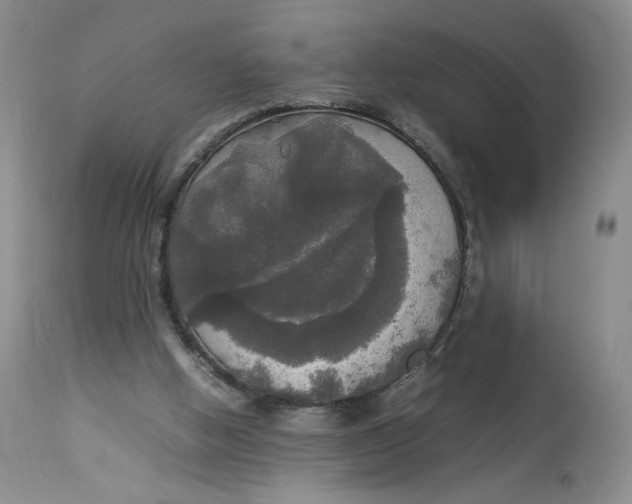 X0000112830058200909111409