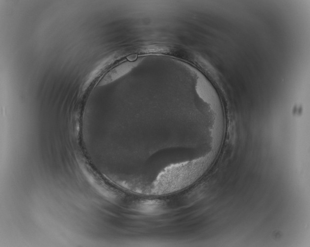 X0000112830059200909111409