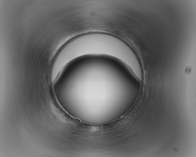 X0000112830060200909111409