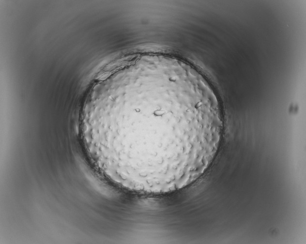 X0000112830062200909111409