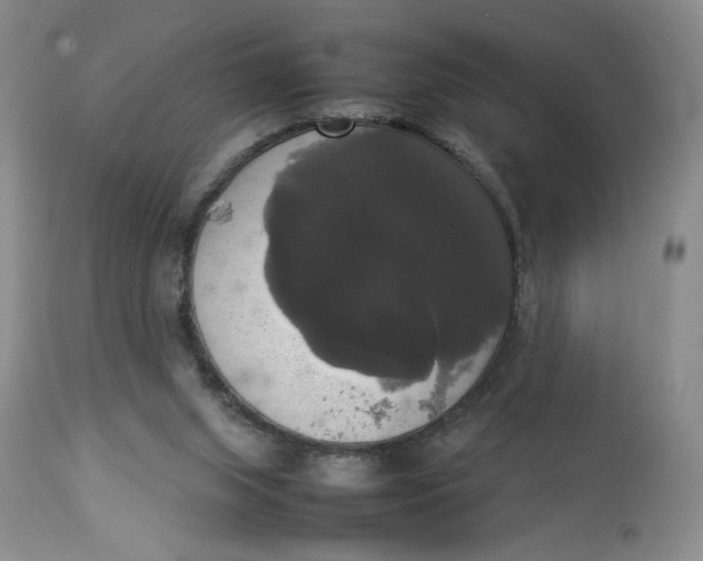 X0000112830063200909111409